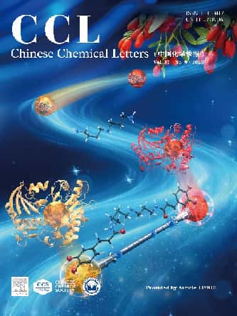 Chinese Chemical Letters cover