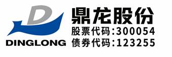 Hubei Dinglong Holdings