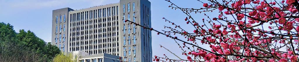 Hubei Key Laboratory of Plasma Chemistry and Advanced Materials