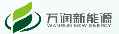 Hubei Wanrun New Energy Technology